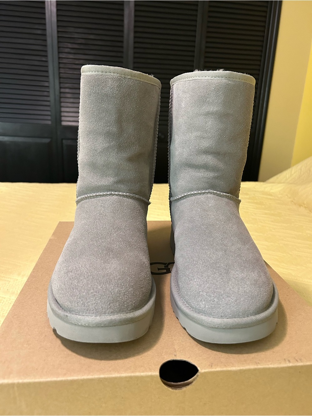 UGG Women's Short Winter Boots in Light Gray Suede